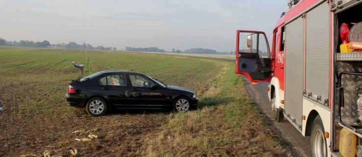 Auto dachowało. Kto był kierowcą? - Zdjęcie główne