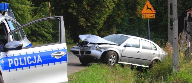 Jechała autem. Zjechała na pobocze, uderzyła w słup - Zdjęcie główne