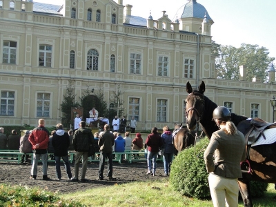 Hubertus - Golejewko - Zdjęcie główne