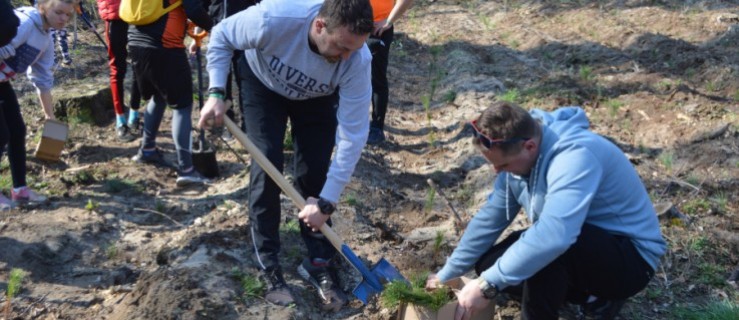 Strażacy, rowerzyści i mieszkańcy sadzili drzewa - Zdjęcie główne