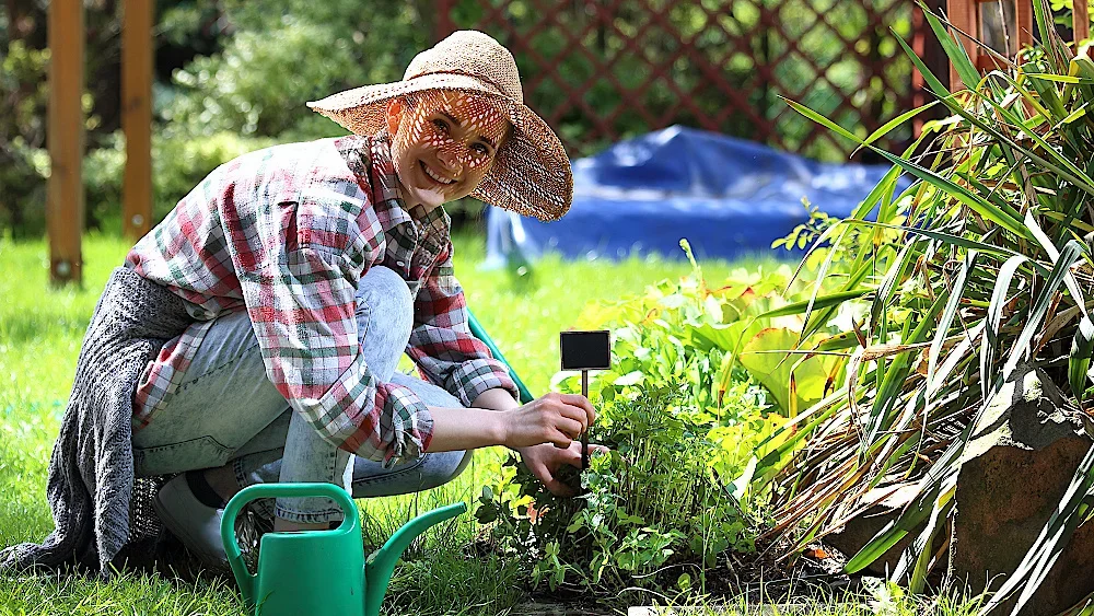 Mieszkasz w gminie Jutrosin? Pochwal się swoim ogrodem - Zdjęcie główne