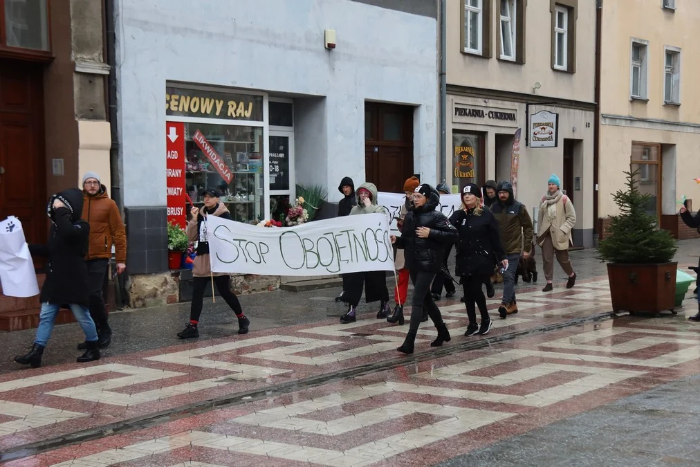 "STOP OBOJĘTNOŚCI! WIDZISZ - REAGUJ!". Marsz rawickimi plantami w obronie zwierząt [ZDJĘCIA] - Zdjęcie główne