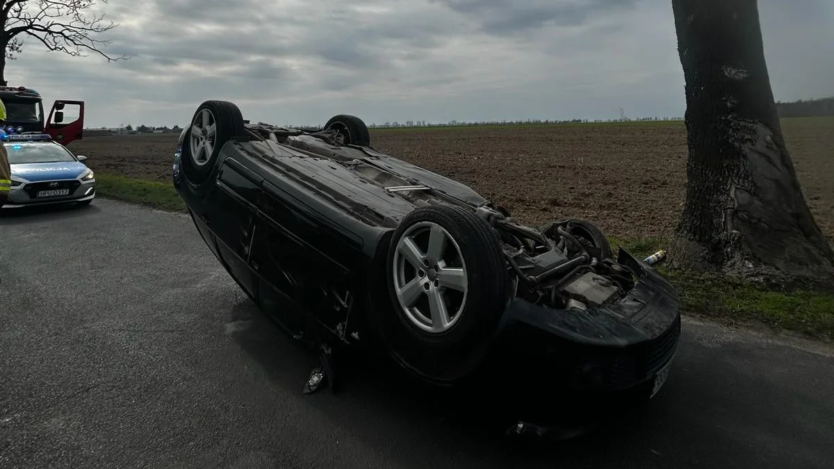 Kierowca nie chciał uderzyć w przebiegającą zwierzynę. Auto dachowało - Zdjęcie główne