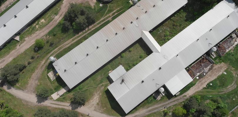 [WR] Wiśniccy hodują świnie i produkują wędliny [VIDEO] - Zdjęcie główne