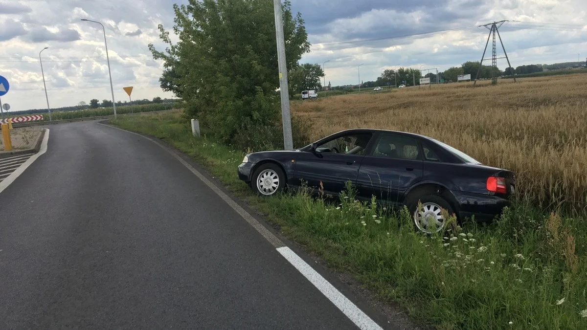 Gwałtownie gestykulował, po czym wsiadł do auta i wpadł do rowu. Co się stało? - Zdjęcie główne