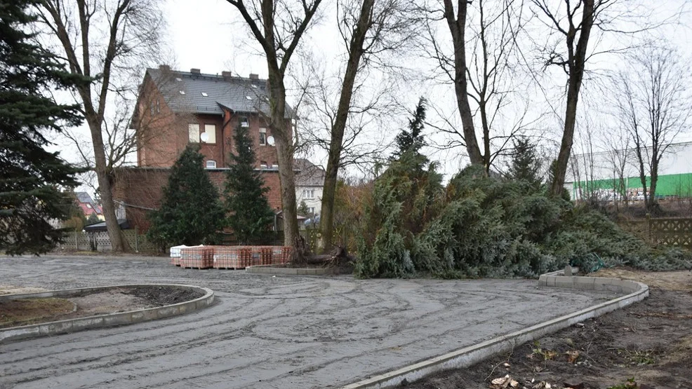 Ze skweru przy PKP w Rawiczu zniknęły drzewa. Dlaczego? - Zdjęcie główne