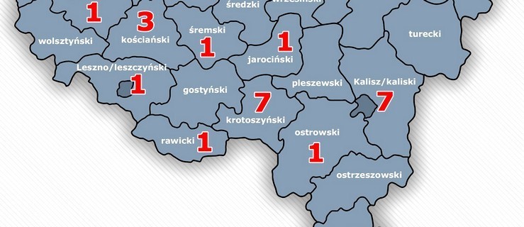 Mapa zakażeń koronawirusem w Wielkopolsce. Jest na niej powiat rawicki - Zdjęcie główne
