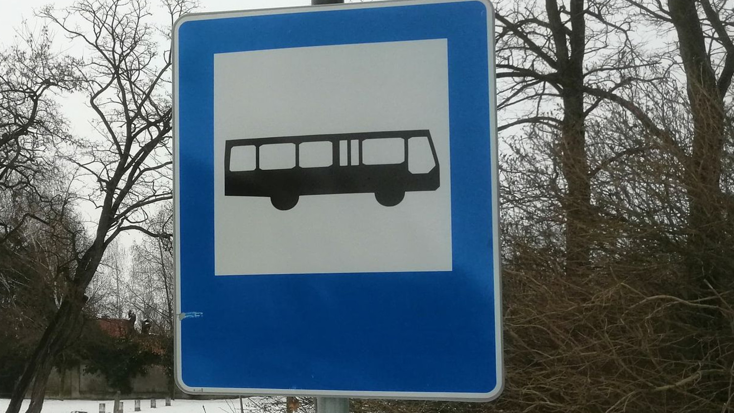 Rawicz. Aktualny rozkład jazdy autobusów linii nr 3 komunikacji miejskiej do Dębna Polskiego - Zdjęcie główne