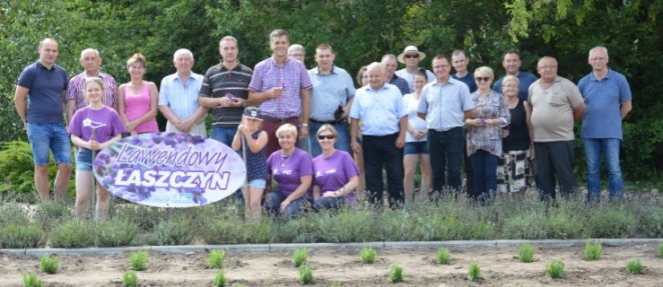 Mieszkańcy, burmistrz, starosta i radni sadzili lawendę - Zdjęcie główne