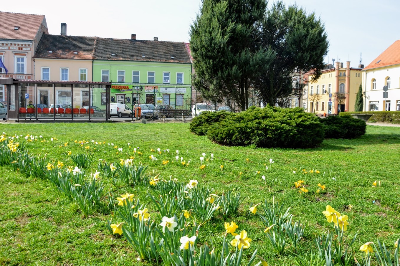 Wybrano nowego kierownika Zakładu Gospodarki Komunalnej i Mieszkaniowej w Bojanowie - Zdjęcie główne