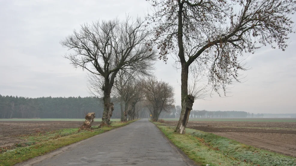 Z petycją do starosty. Mieszkańcy jutrosińskich wiosek domagają się remontu drogi  - Zdjęcie główne