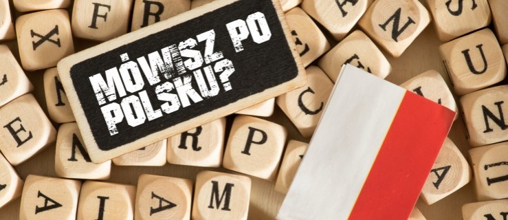 75.000 zł na realizację projektu o języku polskim. Dla kogo? - Zdjęcie główne