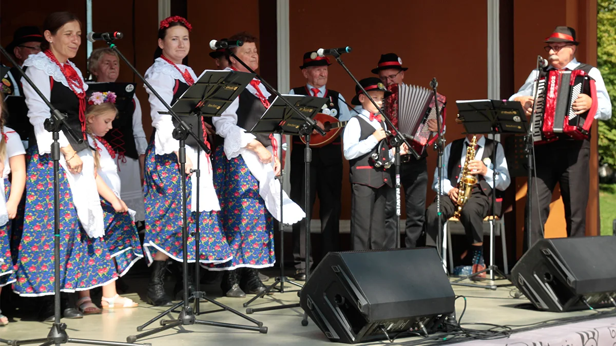 Podsumowanie piątej edycji Festiwalu Muzyków Ludowych w Rawiczu - Zdjęcie główne