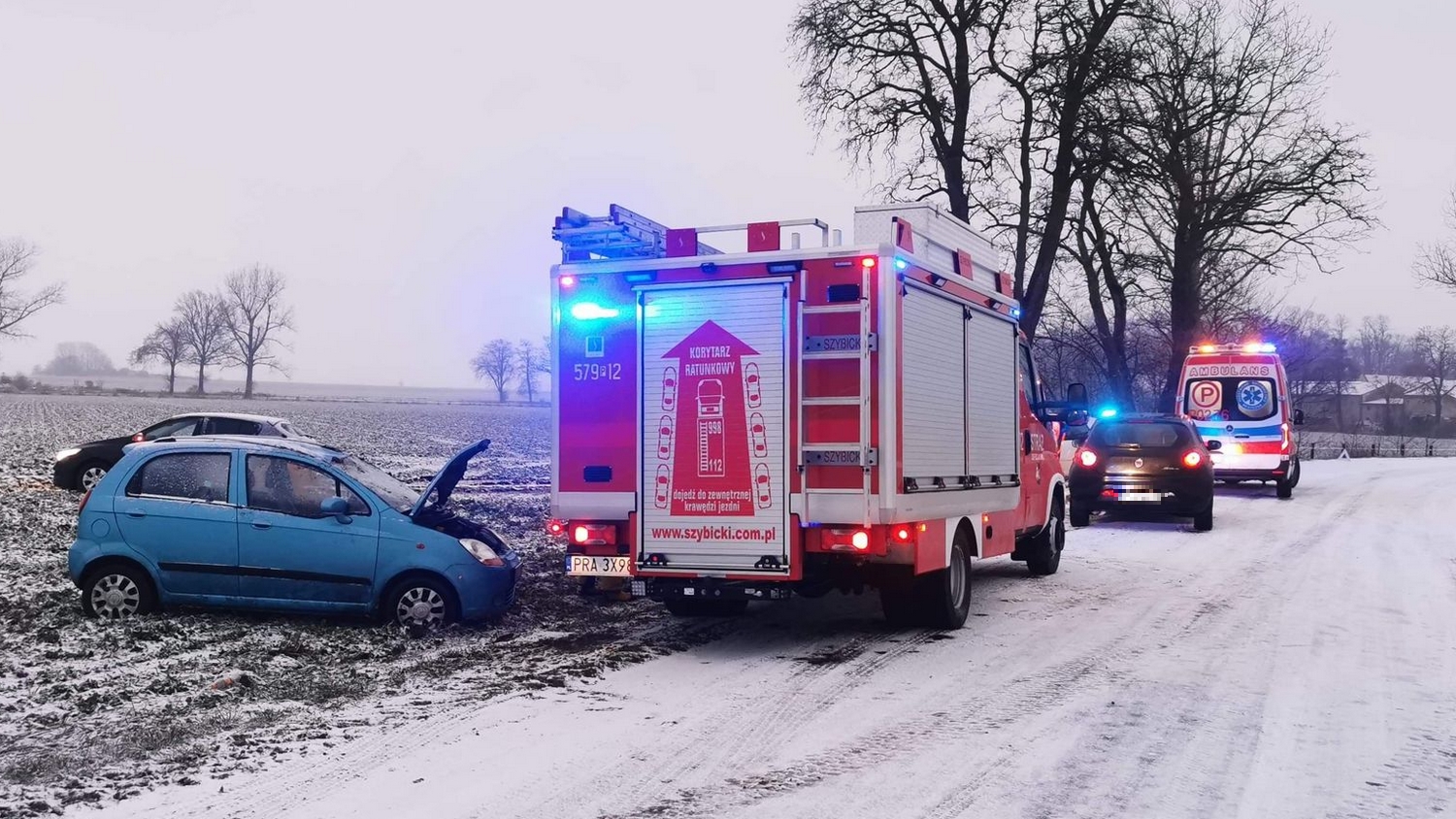 Dachowanie pod Trzeboszem - Zdjęcie główne