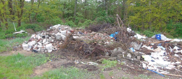 Kto posprząta zaśmiecony las w Jeziorach? - Zdjęcie główne