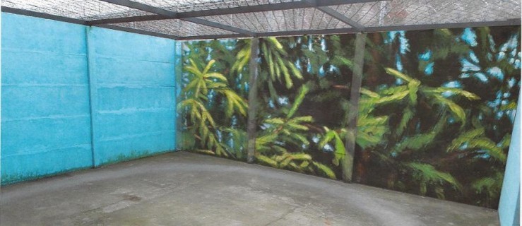 Na więziennym spacerniaku powstanie "Dżungla" - Zdjęcie główne