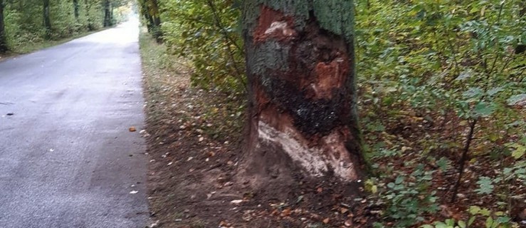 Tragiczny wypadek tuż za granicą powiatu rawickiego. Zginął 51-latek [AKTUALIZACJA] - Zdjęcie główne