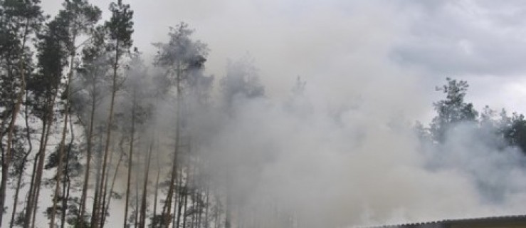 Jutrosin. Pożar w Zmysłowie - Zdjęcie główne