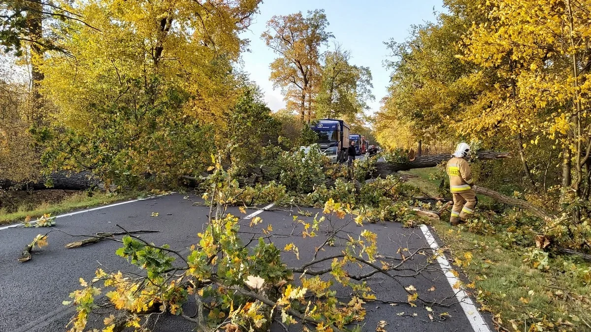 Alert pogodowy dla powiatu rawickiego - Zdjęcie główne