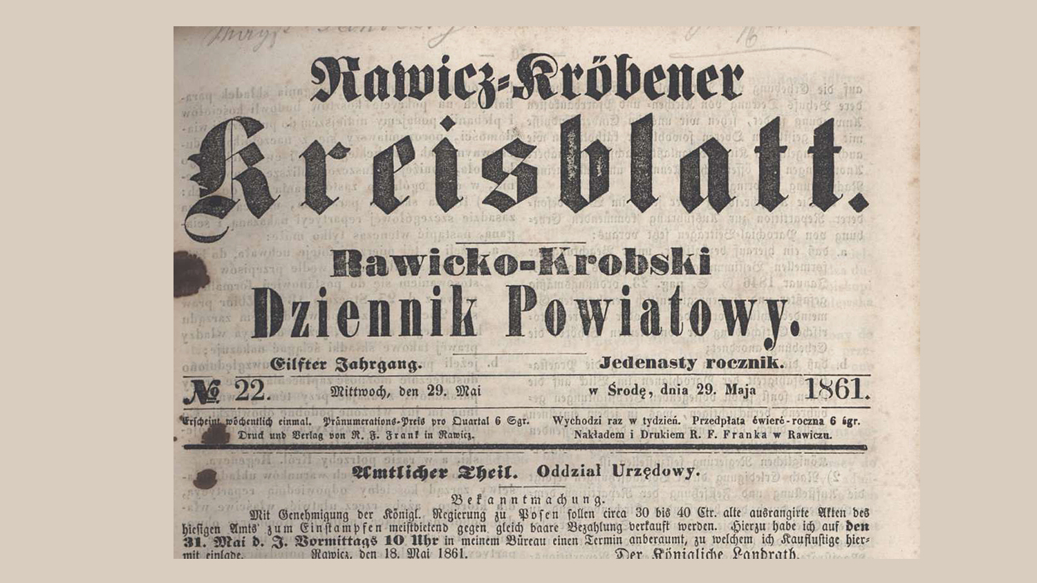 Drugie życie rawickich gazet. O wałachu, który uciekł Azalemu Zakrzewskiemu - Zdjęcie główne