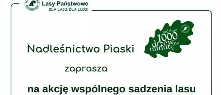 Będą sadzić las. Możesz dołączyć i Ty - Zdjęcie główne