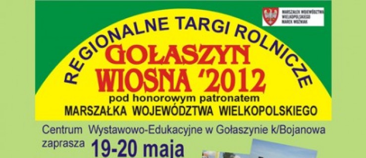Regionalne Targi Rolnicze w Gołaszynie - Zdjęcie główne