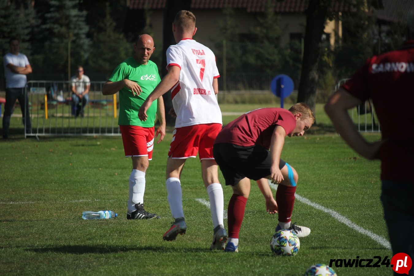 Sarnowianka - Wisła Borek Wielkopolski - Zdjęcie główne