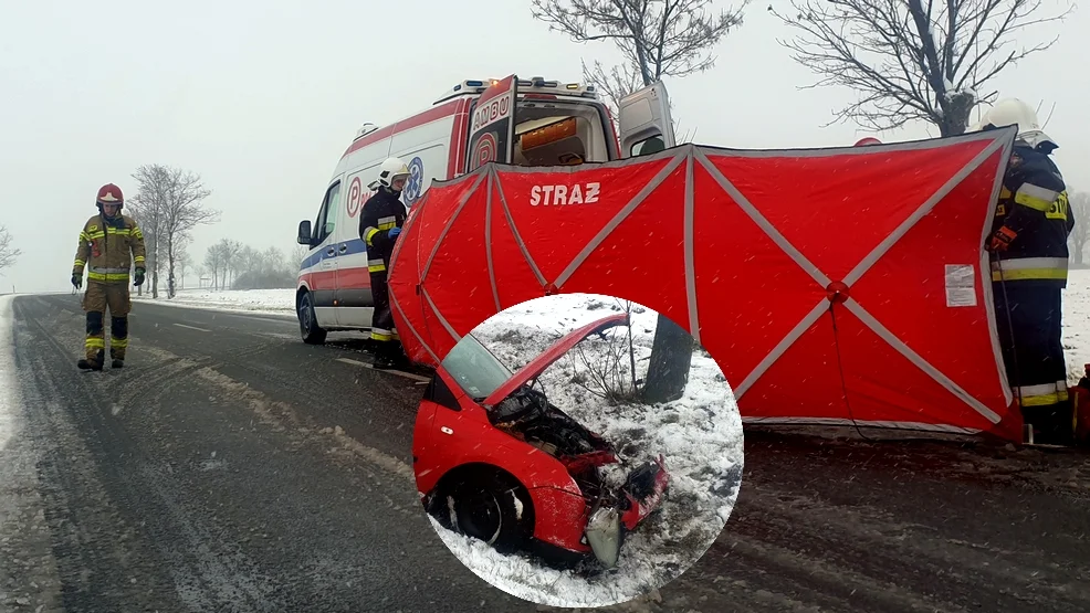 Wypadek na DW434. Jedna osoba w szpitalu [ZDJĘCIA] - Zdjęcie główne