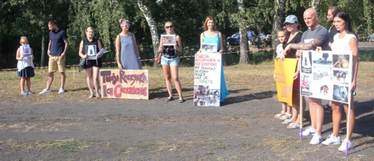 Wczoraj protest przeciwko występowi zwierząt w cyrku. Dziś radni przyjęli opinię - Zdjęcie główne