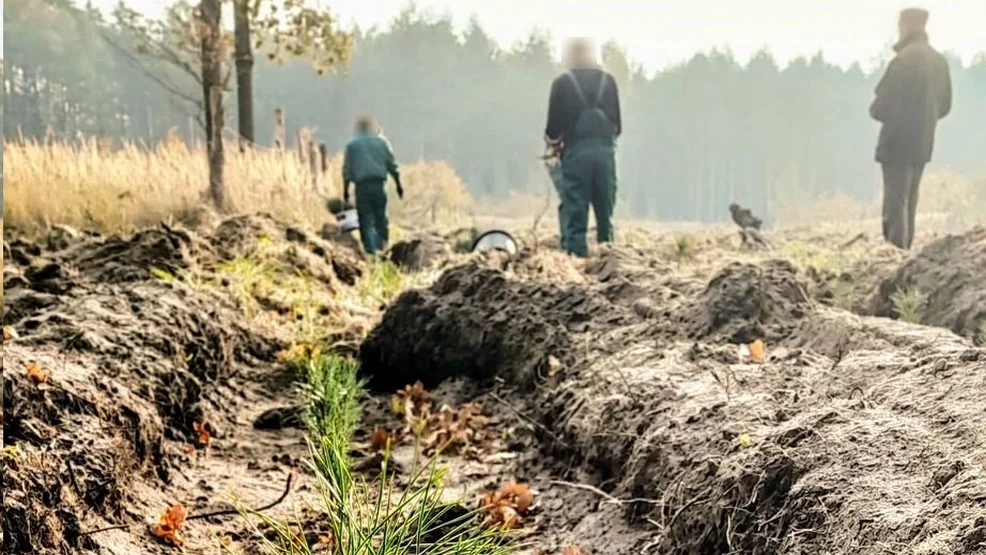 Rawicz. Osadzeni w lesie. Mają zadanie do wykonania - Zdjęcie główne