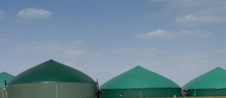 Inwestor podjął decyzję w sprawie biogazowni - Zdjęcie główne
