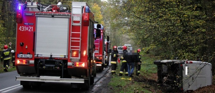 Zwierzę wybiegło przed auto. Dwie osoby trafiły do szpitala  - Zdjęcie główne