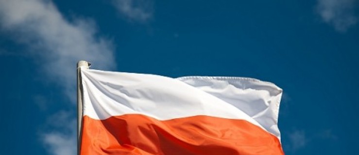 Referendum w Miejskiej Górce na portalu - Zdjęcie główne