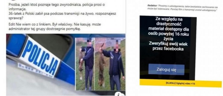 Ktoś zabił psa w trakcie transmisji na żywo? To nieprawda - Zdjęcie główne