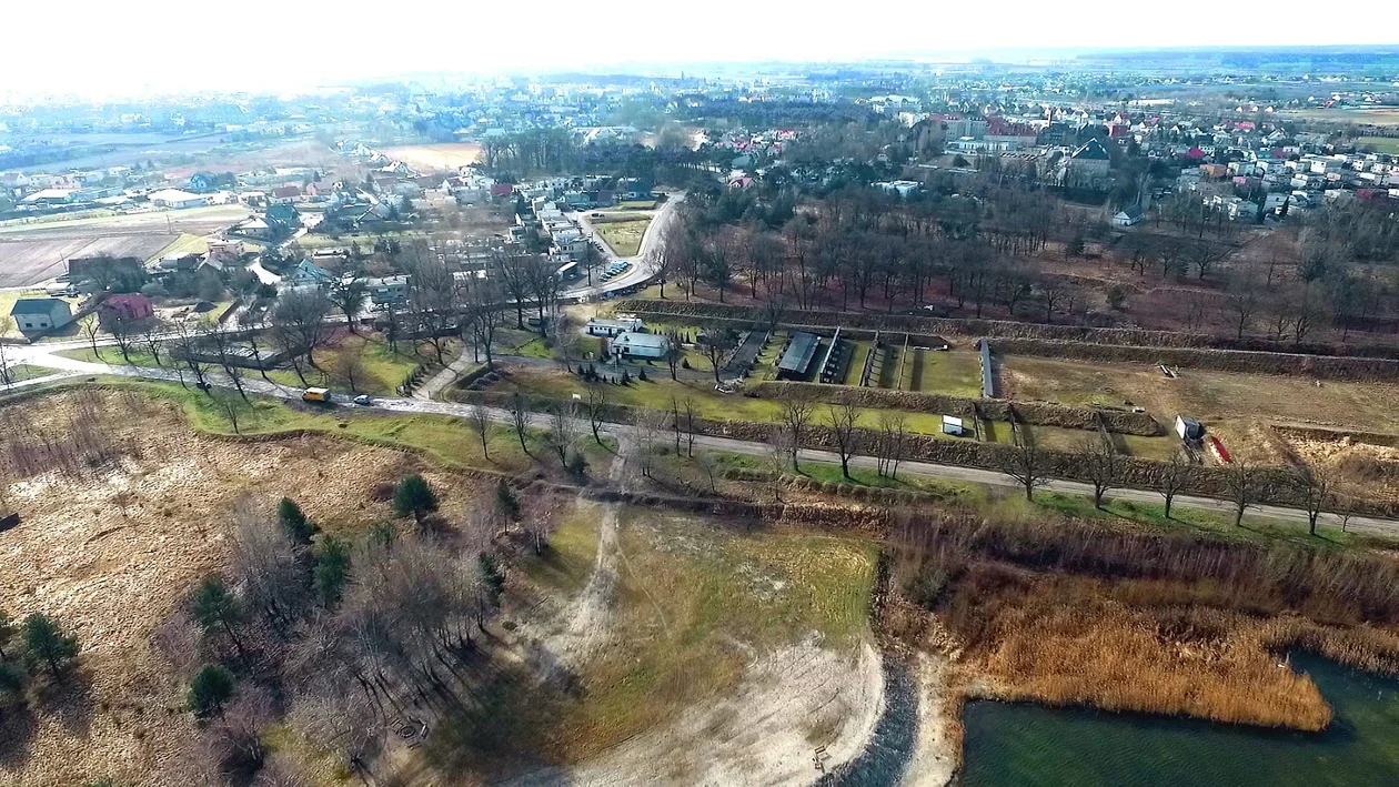 Rawicz. Zasadzą 100 nowych drzew na poligonie - Zdjęcie główne