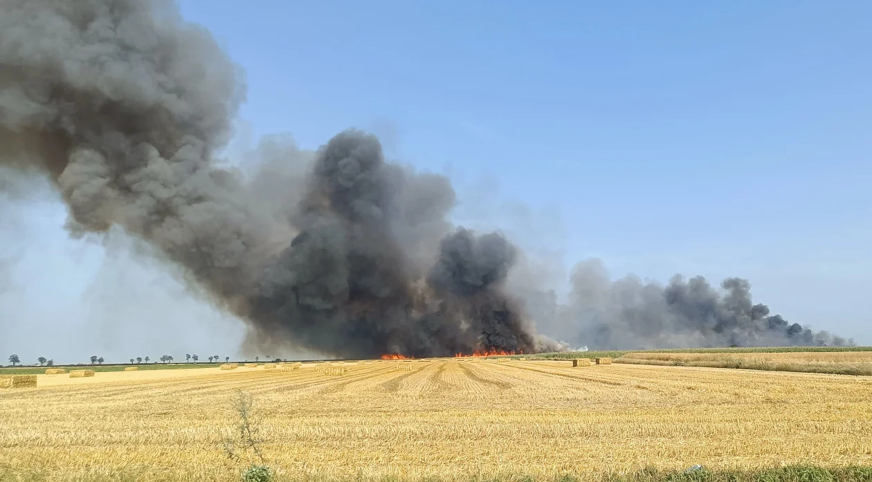 Pożary w gminie Miejska Górka. Płoną ścierniska [ZDJĘCIA] - Zdjęcie główne