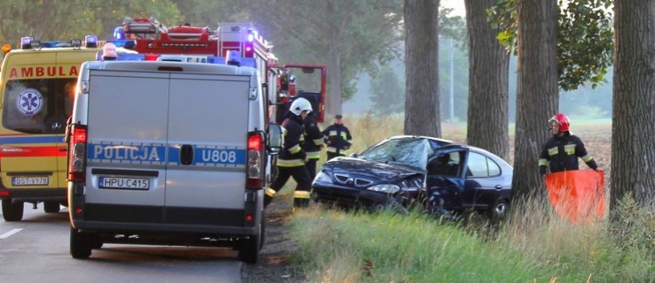 Renault uderzyło w drzewo. Kierowca trafił do szpitala - Zdjęcie główne