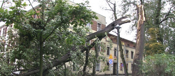 Połamane drzewa, zerwane dachy. Wasze zdjęcia wichury - Zdjęcie główne