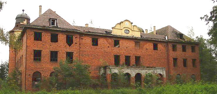 Powstało Stowarzyszenie Przyjaciół Pałacu w Starym Sielcu - Zdjęcie główne