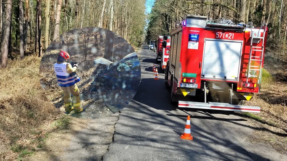 Wypadek tuż za granicą powiatu rawickiego. W drzewo uderzyła mieszkanka gminy Rawicz - Zdjęcie główne