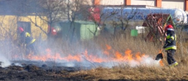 Rawicz. Strażacy gaszą kolejny pożar suchych traw - Zdjęcie główne
