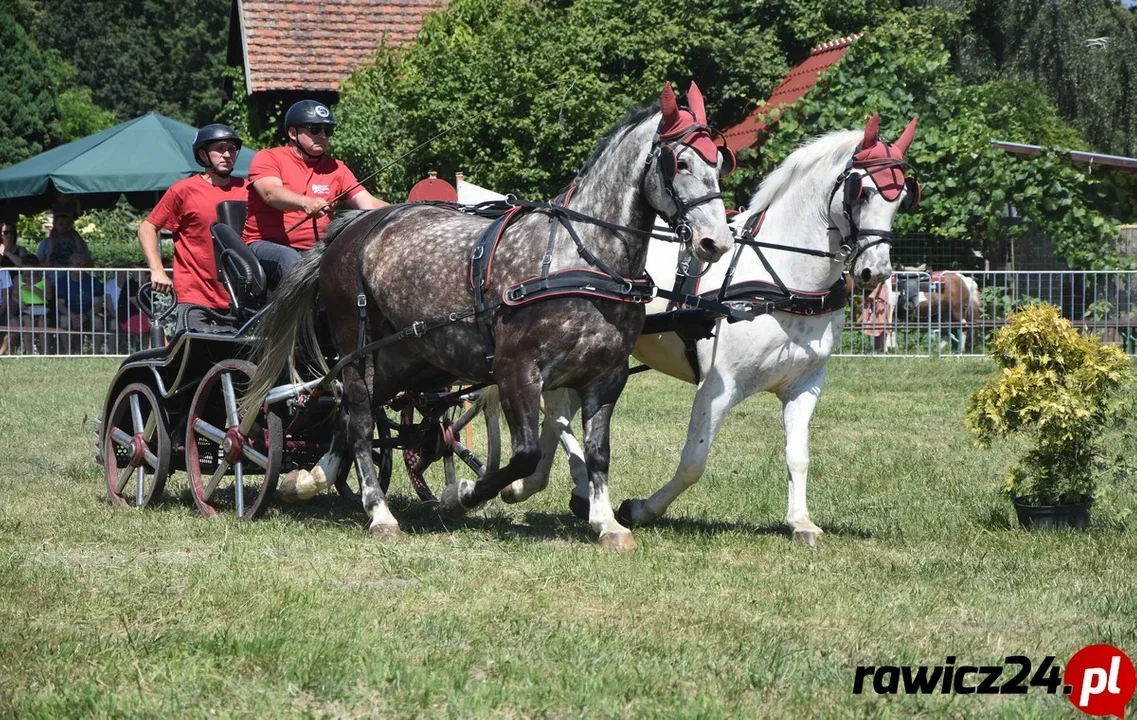 Gminne rozpoczęcie lata w Izbicach oraz 20. Turniej w Powożeniu Zaprzęgami o Puchar Burmistrza Gminy Rawicz - Zdjęcie główne