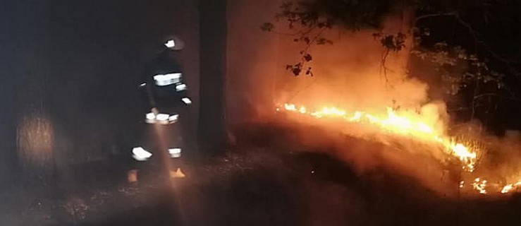 Trzy pożary jednej nocy. W akcji dziewięć zastępów straży - Zdjęcie główne