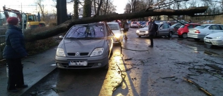 Wiatr dał się we znaki. Kilkanaście interwencji w powiecie [AKTUALIZACJA] - Zdjęcie główne