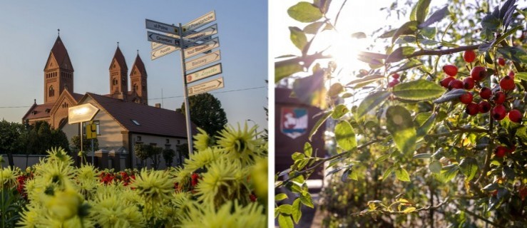 Oblicze powiatu w barwach jesieni [WIDEO, FOTO] - Zdjęcie główne