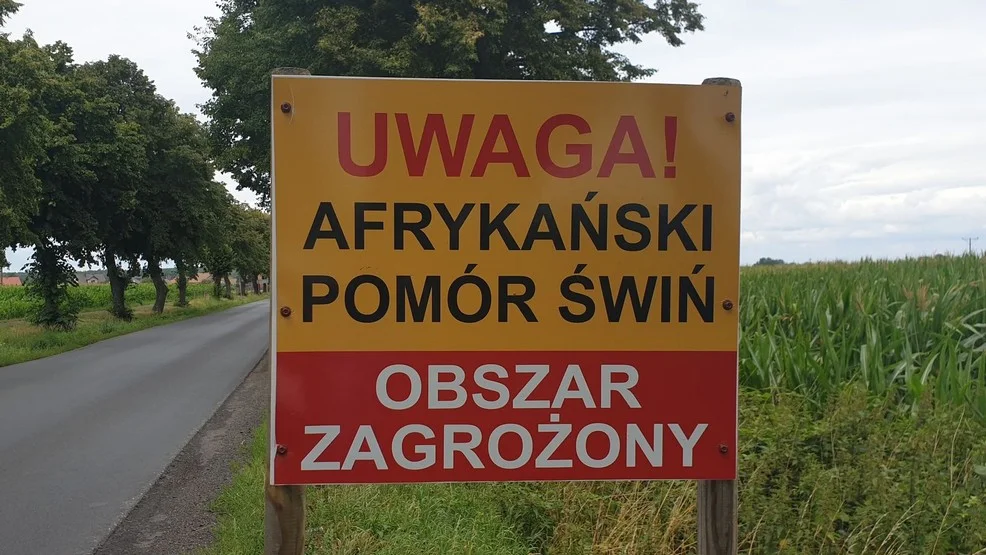 Czy rolnicy w powiecie rawickim pamiętają o bioasekuracji? - Zdjęcie główne