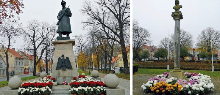 Rawicz. 700 sztuk chryzantem udekorowało miasto  - Zdjęcie główne