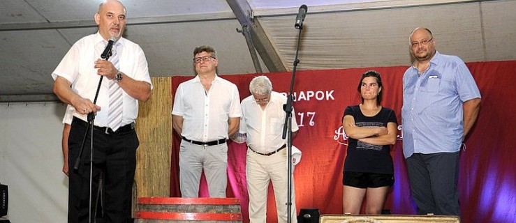Delegacja Miejskiej Górki gościła na węgierskim święcie wina - Zdjęcie główne