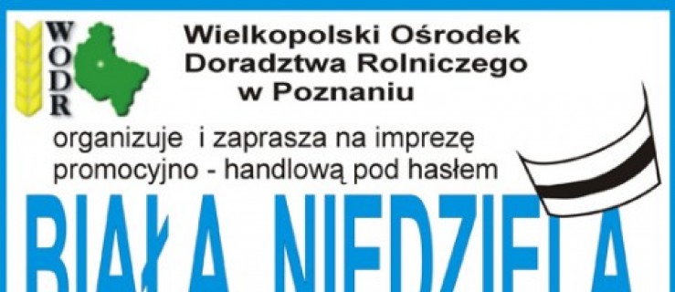 "Biała Niedziela" w Gołaszynie - Zdjęcie główne