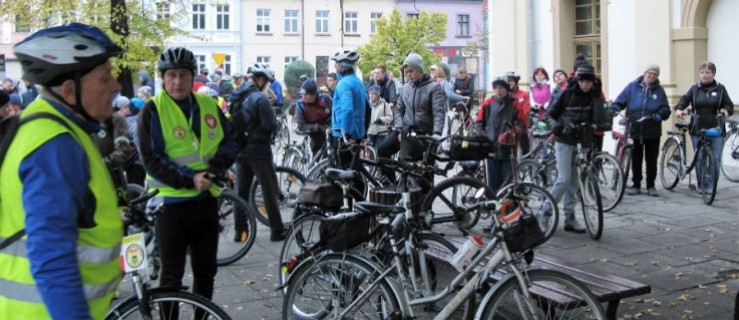 Rowerami po rawickich lasach - Zdjęcie główne